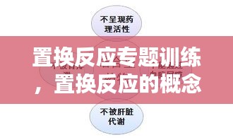 置換反應(yīng)專題訓(xùn)練，置換反應(yīng)的概念和例子 