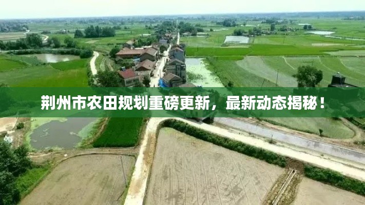 荊州市農(nóng)田規(guī)劃重磅更新，最新動(dòng)態(tài)揭秘！