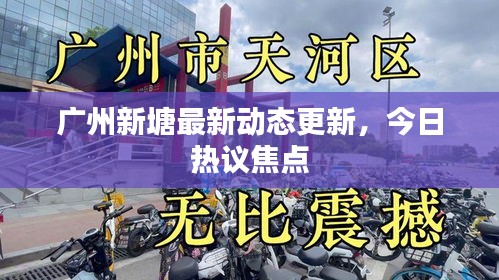 廣州新塘最新動態(tài)更新，今日熱議焦點