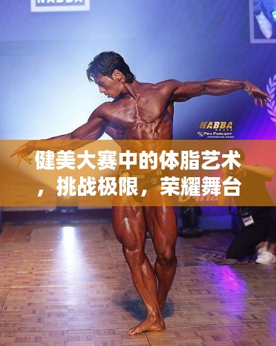 健美大賽中的體脂藝術，挑戰(zhàn)極限，榮耀舞臺