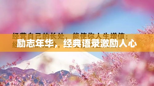 勵志年華，經(jīng)典語錄激勵人心