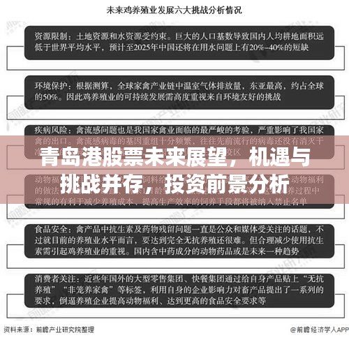 青島港股票未來展望，機(jī)遇與挑戰(zhàn)并存，投資前景分析