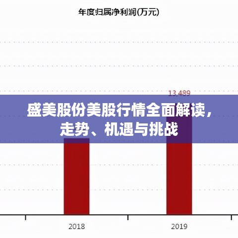盛美股份美股行情全面解讀，走勢、機遇與挑戰(zhàn)