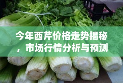 今年西芹價(jià)格走勢揭秘，市場行情分析與預(yù)測