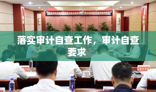 落實(shí)審計(jì)自查工作，審計(jì)自查要求 