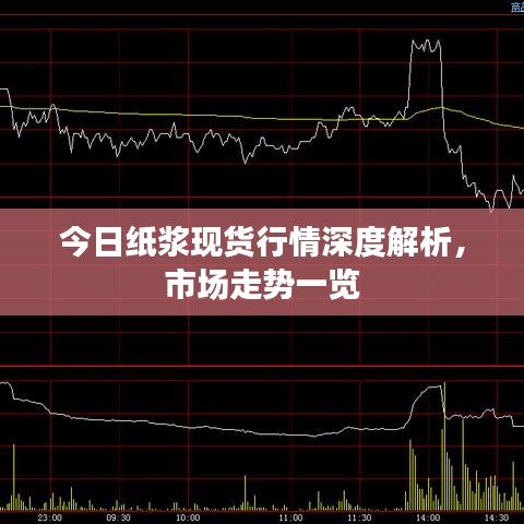 今日紙漿現(xiàn)貨行情深度解析，市場走勢一覽