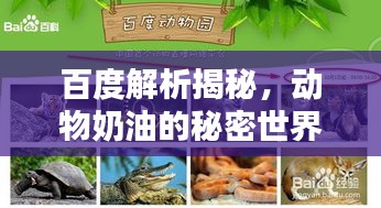 百度解析揭秘，動(dòng)物奶油的秘密世界！
