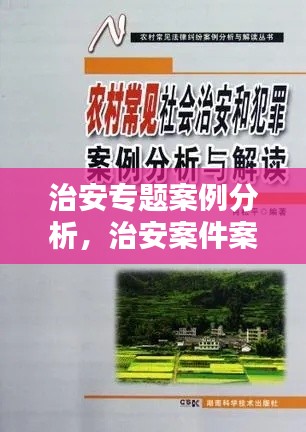 治安專題案例分析，治安案件案例 
