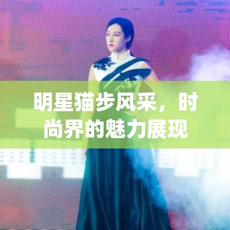明星貓步風(fēng)采，時(shí)尚界的魅力展現(xiàn)