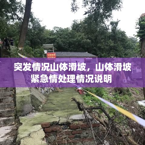 將計(jì)就計(jì)