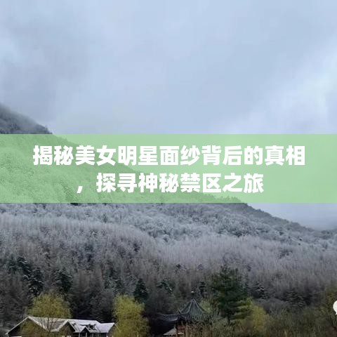 揭秘美女明星面紗背后的真相，探尋神秘禁區(qū)之旅
