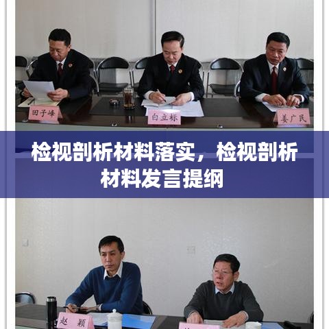 檢視剖析材料落實，檢視剖析材料發(fā)言提綱 