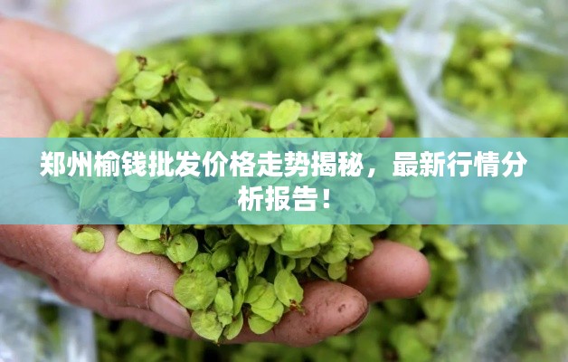 鄭州榆錢批發(fā)價(jià)格走勢揭秘，最新行情分析報(bào)告！