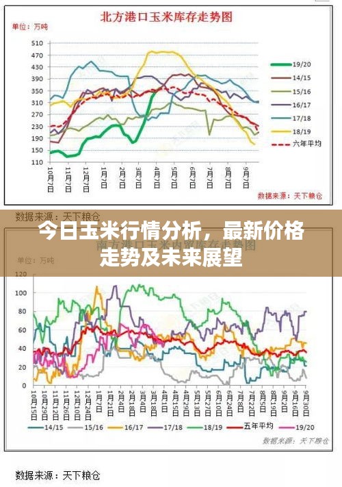 今日玉米行情分析，最新價格走勢及未來展望
