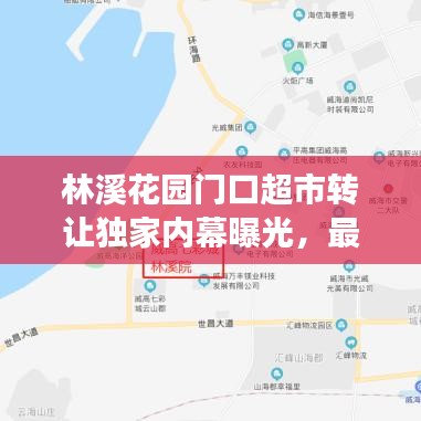 林溪花園門口超市轉(zhuǎn)讓獨(dú)家內(nèi)幕曝光，最新消息揭秘重磅交易！