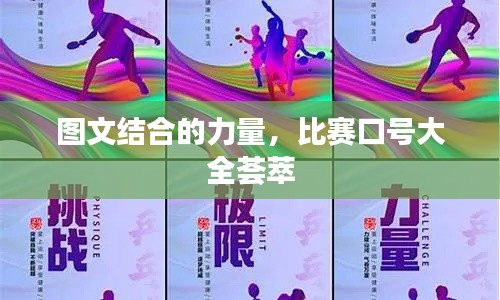政策法規(guī) 第13頁