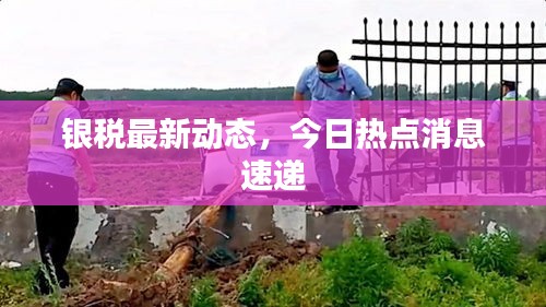 銀稅最新動(dòng)態(tài)，今日熱點(diǎn)消息速遞