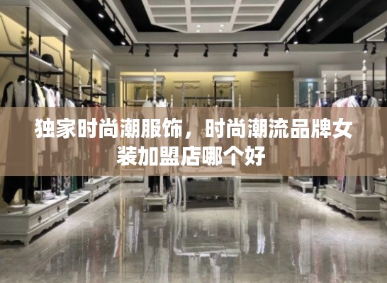 獨(dú)家時(shí)尚潮服飾，時(shí)尚潮流品牌女裝加盟店哪個(gè)好 