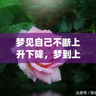夢見自己不斷上升下降，夢到上升然后極速下落 