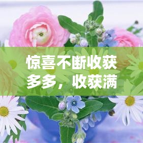 驚喜不斷收獲多多，收獲滿滿的驚喜 