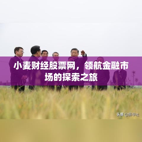 小麥財(cái)經(jīng)股票網(wǎng)，領(lǐng)航金融市場的探索之旅