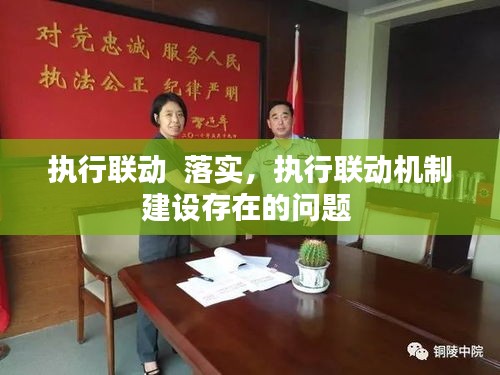 執(zhí)行聯(lián)動(dòng)  落實(shí)，執(zhí)行聯(lián)動(dòng)機(jī)制建設(shè)存在的問題 
