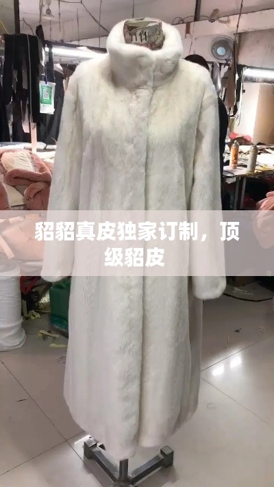 貂貂真皮獨(dú)家訂制，頂級(jí)貂皮 