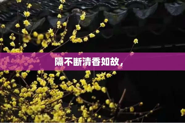 隔不斷清香如故， 
