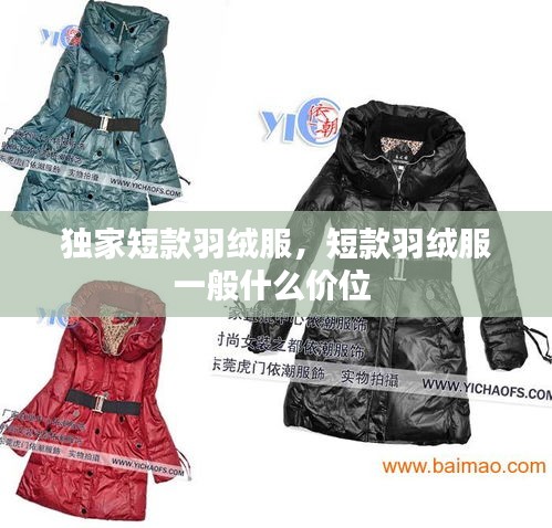 招標(biāo)采購(gòu) 第9頁(yè)