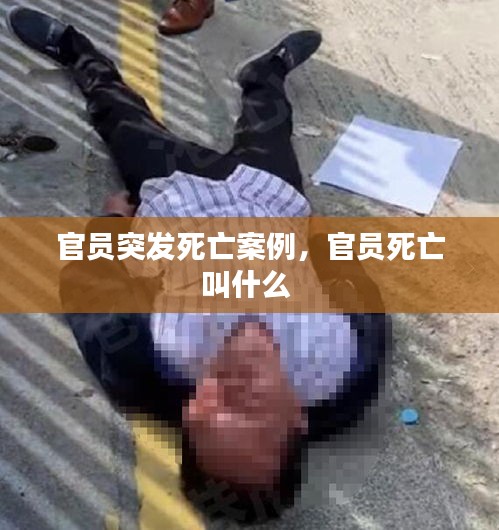 官員突發(fā)死亡案例，官員死亡叫什么 