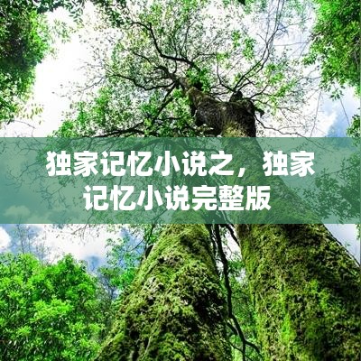 獨(dú)家記憶小說(shuō)之，獨(dú)家記憶小說(shuō)完整版 