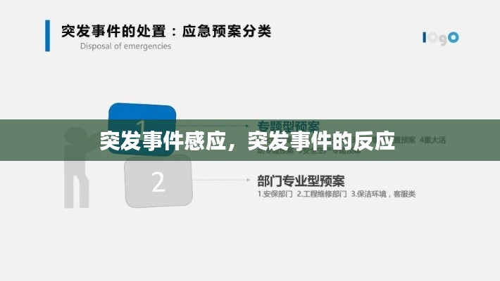 突發(fā)事件感應(yīng)，突發(fā)事件的反應(yīng) 