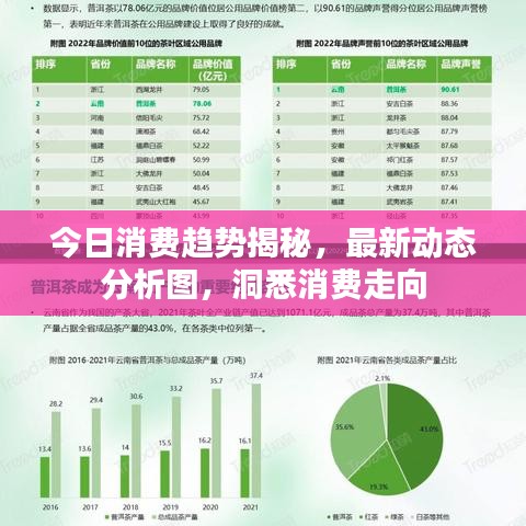 今日消費趨勢揭秘，最新動態(tài)分析圖，洞悉消費走向