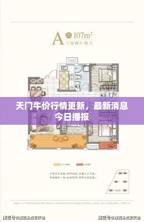 天門牛價(jià)行情更新，最新消息今日播報(bào)