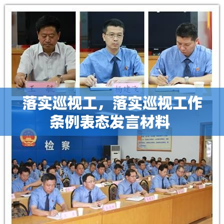 落實(shí)巡視工，落實(shí)巡視工作條例表態(tài)發(fā)言材料 