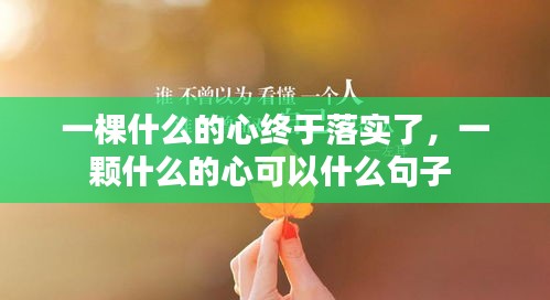 一棵什么的心終于落實了，一顆什么的心可以什么句子 