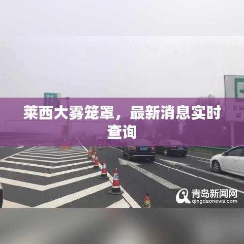 萊西大霧籠罩，最新消息實時查詢