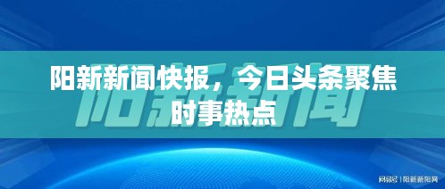 陽新新聞快報，今日頭條聚焦時事熱點