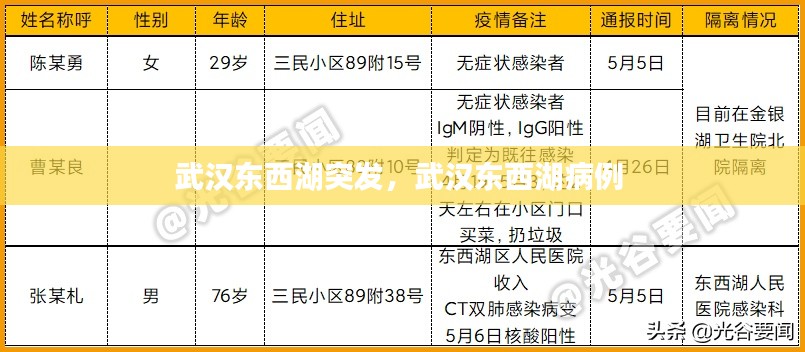 武漢東西湖突發(fā)，武漢東西湖病例 