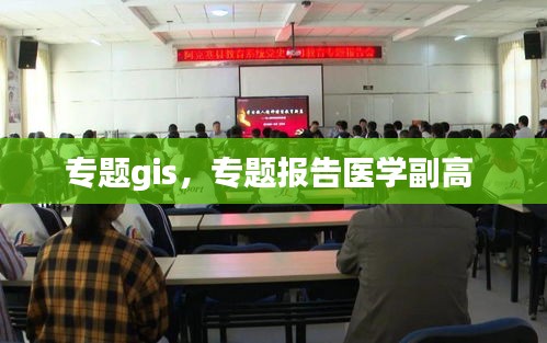 專題gis，專題報告醫(yī)學副高 