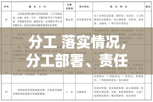 分工 落實情況，分工部署、責任落實 