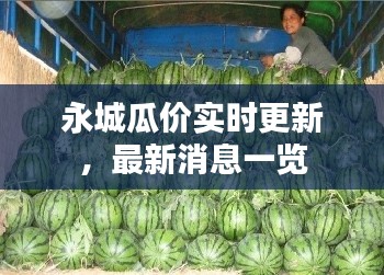 永城瓜價實時更新，最新消息一覽
