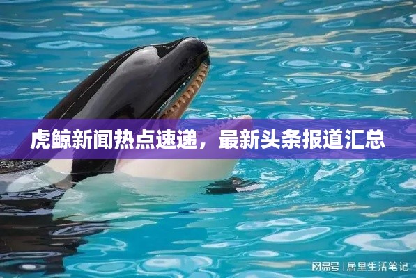 虎鯨新聞熱點速遞，最新頭條報道匯總