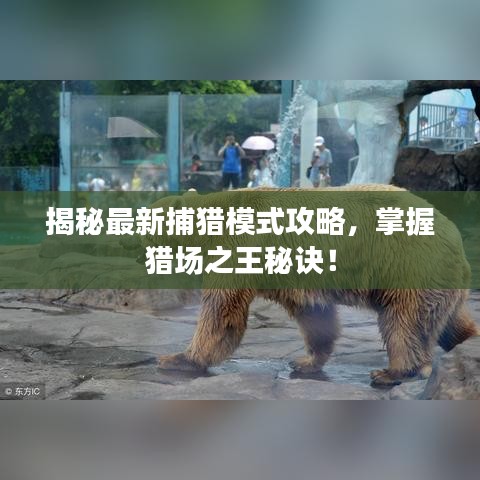 揭秘最新捕獵模式攻略，掌握獵場(chǎng)之王秘訣！