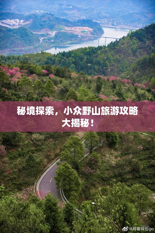 靡顏膩理