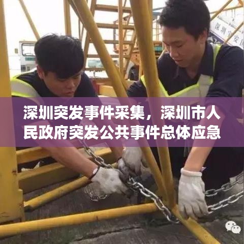 漫天飛舞
