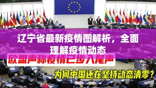 遼寧省最新疫情圖解析，全面理解疫情動(dòng)態(tài)