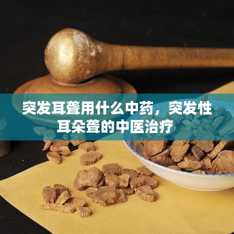鳥集鱗萃