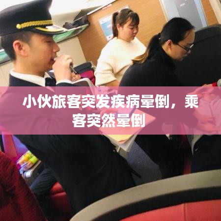 敷衍了事
