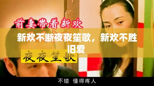 新歡不斷夜夜笙歌，新歡不勝舊愛(ài) 